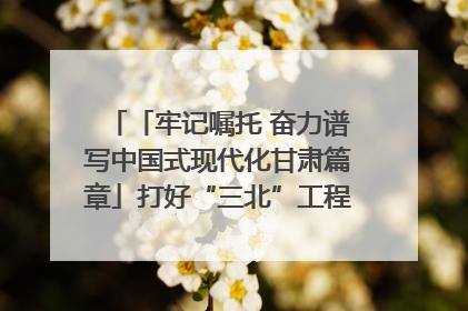 「牢记嘱托 奋力谱写中国式现代化甘肃篇章」打好“三北”工程攻坚战 筑牢国家西部生态安全屏障