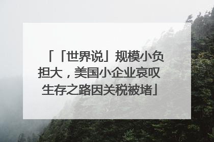 「世界说」规模小负担大，美国小企业哀叹生存之路因关税被堵