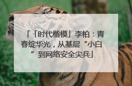 「时代楷模」李柏：青春绽华光，从基层“小白”到网络安全尖兵