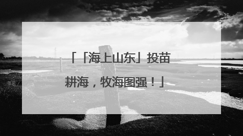 「海上山东」投苗耕海，牧海图强！
