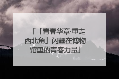 「青春华章·重走西北角」闪耀在博物馆里的青春力量