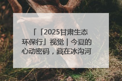 「2025甘肃生态环保行」视觉｜今夏的心动密码，藏在冰沟河的潋滟波光里