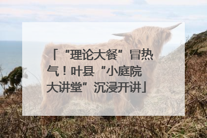 “理论大餐”冒热气！叶县“小庭院 大讲堂”沉浸开讲