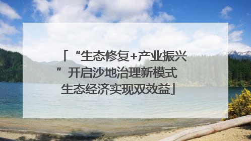 “生态修复+产业振兴”开启沙地治理新模式 生态经济实现双效益