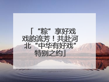 “粽”享好戏 戏韵流芳！共赴河北“中华有好戏”特别之约