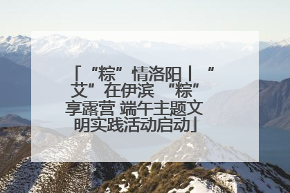 “粽”情洛阳丨“艾”在伊滨 “粽”享露营 端午主题文明实践活动启动
