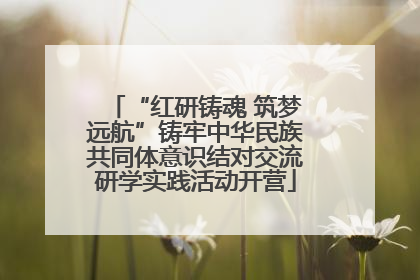 “红研铸魂 筑梦远航”铸牢中华民族共同体意识结对交流研学实践活动开营