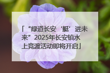 “绿道长安‘艇’进未来”2025年长安镇水上竞渡活动即将开启