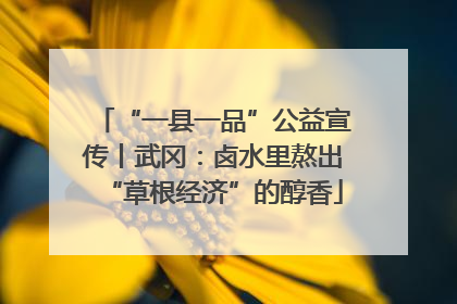 “一县一品”公益宣传丨武冈：卤水里熬出“草根经济”的醇香