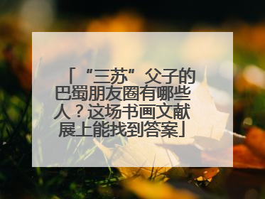 “三苏”父子的巴蜀朋友圈有哪些人？这场书画文献展上能找到答案