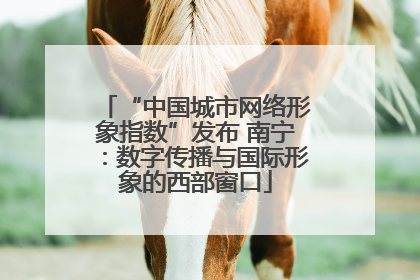 “中国城市网络形象指数”发布 南宁：数字传播与国际形象的西部窗口