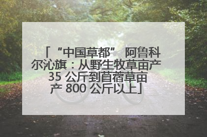 “中国草都” 阿鲁科尔沁旗：从野生牧草亩产 35 公斤到苜蓿草亩产 800 公斤以上