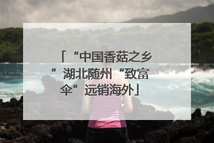 “中国香菇之乡”湖北随州“致富伞”远销海外