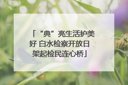 “典”亮生活护美好 白水检察开放日架起检民连心桥