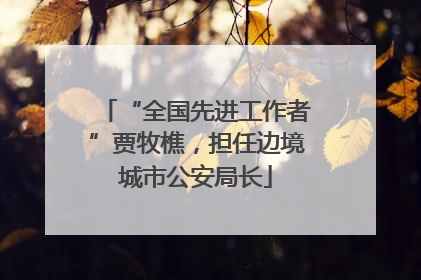 “全国先进工作者”贾牧樵，担任边境城市公安局长