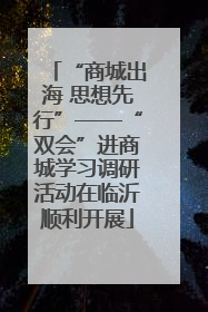 “商城出海 思想先行”——“双会”进商城学习调研活动在临沂顺利开展
