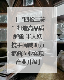 “四检三筛”打造高品质鲈鱼 半天妖携手闽威助力福鼎渔业实现产业升级