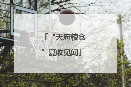 “天府粮仓”夏收见闻