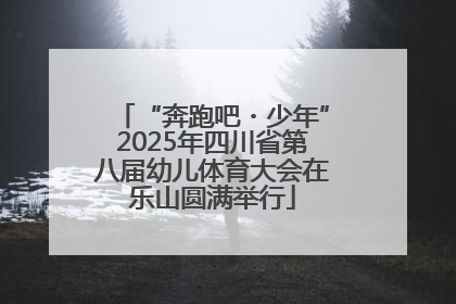 “奔跑吧・少年”2025年四川省第八届幼儿体育大会在乐山圆满举行