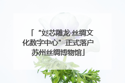 “彣芯雕龙·丝绸文化数字中心”正式落户苏州丝绸博物馆