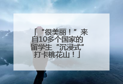 “很美丽！”来自10多个国家的留学生“沉浸式”打卡桃花山！