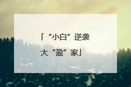 “小白”逆袭大“盈”家