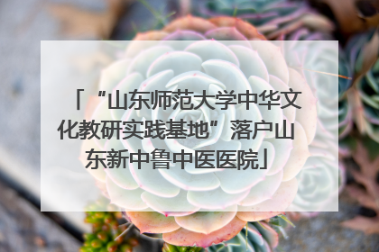 “山东师范大学中华文化教研实践基地”落户山东新中鲁中医医院