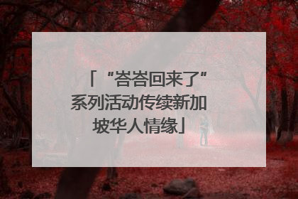 “峇峇回来了”系列活动传续新加坡华人情缘