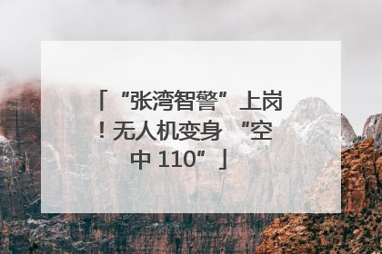 “张湾智警”上岗！无人机变身 “空中 110”