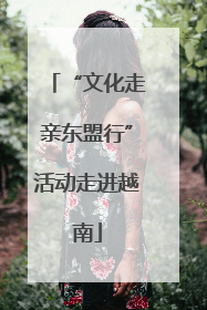 “文化走亲东盟行”活动走进越南