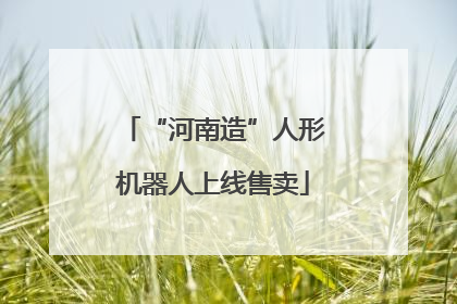 “河南造”人形机器人上线售卖