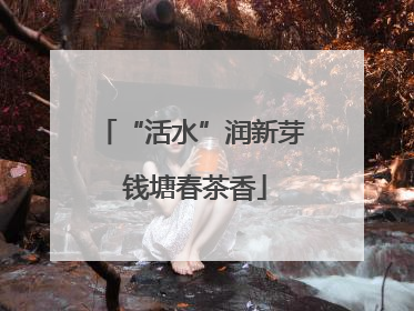 “活水”润新芽 钱塘春茶香