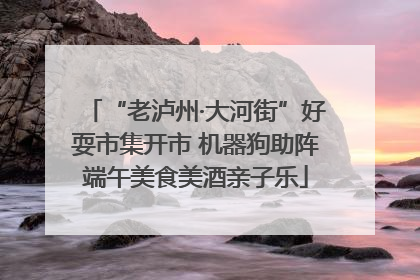 “老泸州·大河街”好耍市集开市 机器狗助阵端午美食美酒亲子乐