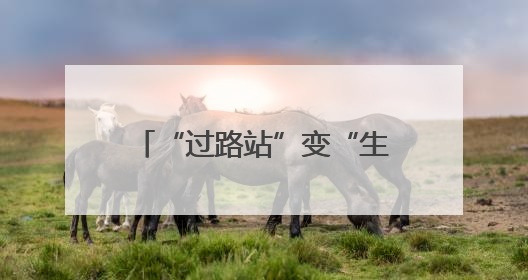 “过路站”变“生活圈” 湖北交投打造路域经济新生态