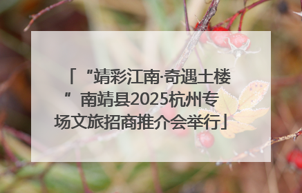 “靖彩江南·奇遇土楼”南靖县2025杭州专场文旅招商推介会举行