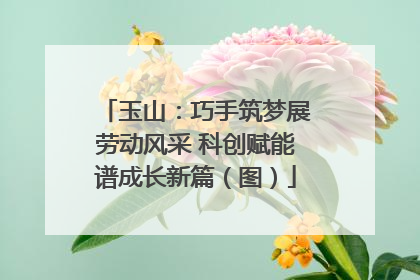 玉山：巧手筑梦展劳动风采 科创赋能谱成长新篇（图）