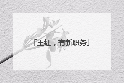 王红，有新职务