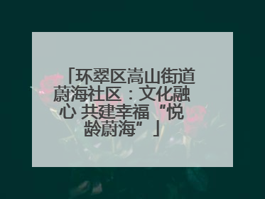 环翠区嵩山街道蔚海社区：文化融心 共建幸福“悦龄蔚海”