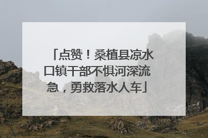 点赞！桑植县凉水口镇干部不惧河深流急，勇救落水人车