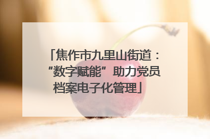 焦作市九里山街道：“数字赋能”助力党员档案电子化管理
