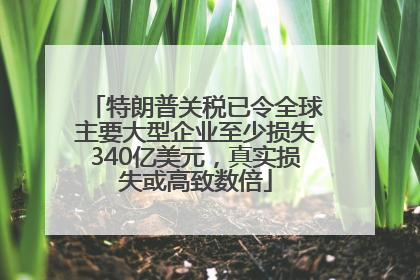 特朗普关税已令全球主要大型企业至少损失340亿美元，真实损失或高致数倍