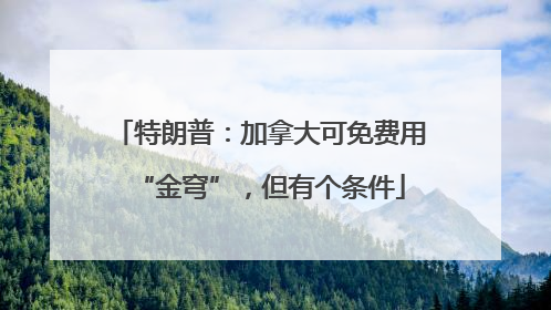 特朗普：加拿大可免费用“金穹”，但有个条件