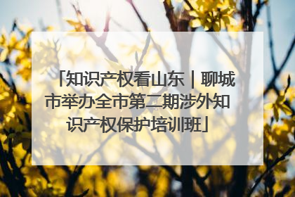 知识产权看山东｜聊城市举办全市第二期涉外知识产权保护培训班