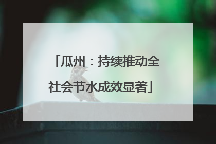 瓜州：持续推动全社会节水成效显著