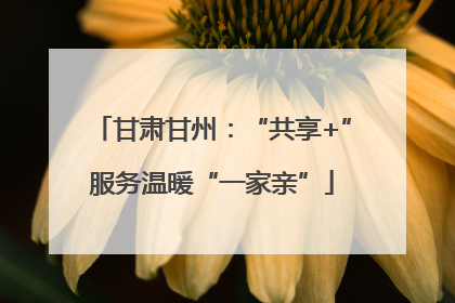 甘肃甘州：“共享+”服务温暖“一家亲”