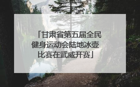 甘肃省第五届全民健身运动会陆地冰壶比赛在武威开赛