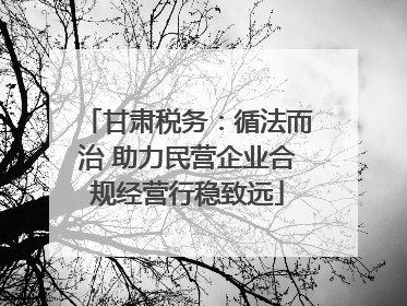 甘肃税务：循法而治 助力民营企业合规经营行稳致远