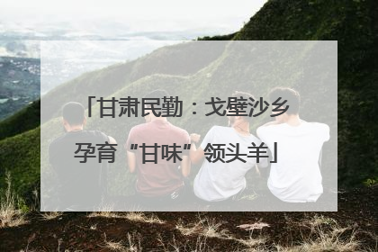 甘肃民勤：戈壁沙乡孕育“甘味”领头羊
