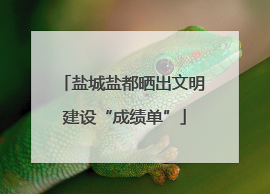 盐城盐都晒出文明建设“成绩单”