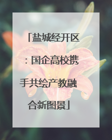盐城经开区：国企高校携手共绘产教融合新图景